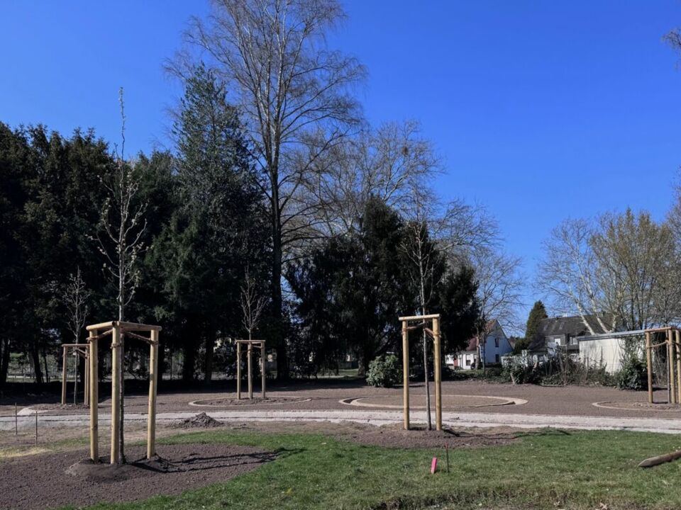 Familiengrab und Reihengrab Baumbestattung - Friedhof Bochum-Langendreer