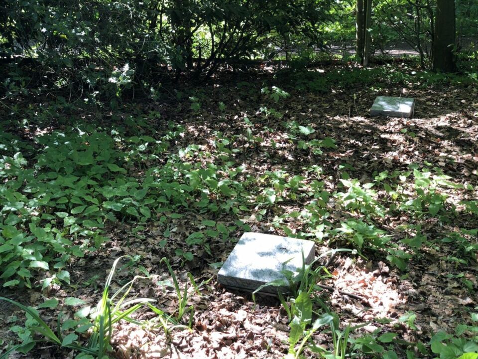 Familiengrab naturnah Urne - Friedhof Bochum-Weitmar, Heinrich-König-Straße