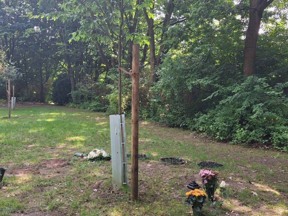 Reihengrab und Familiengrab Urne Friedhofshain - Friedhof Bochum-Querneburg