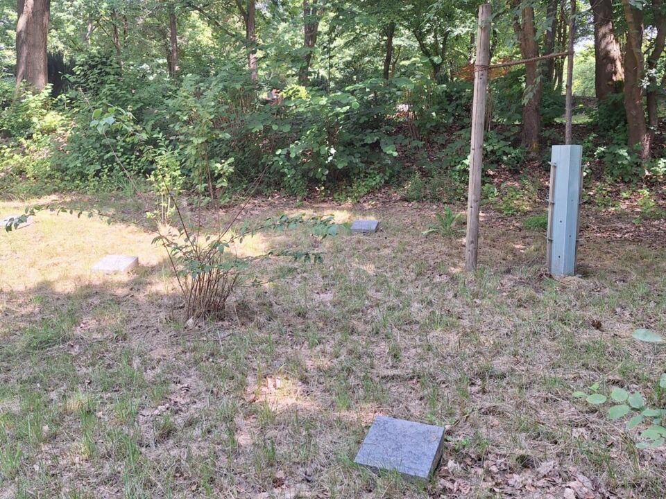 Familiengrab naturnah Urne - Friedhof Bochum-Querenburg