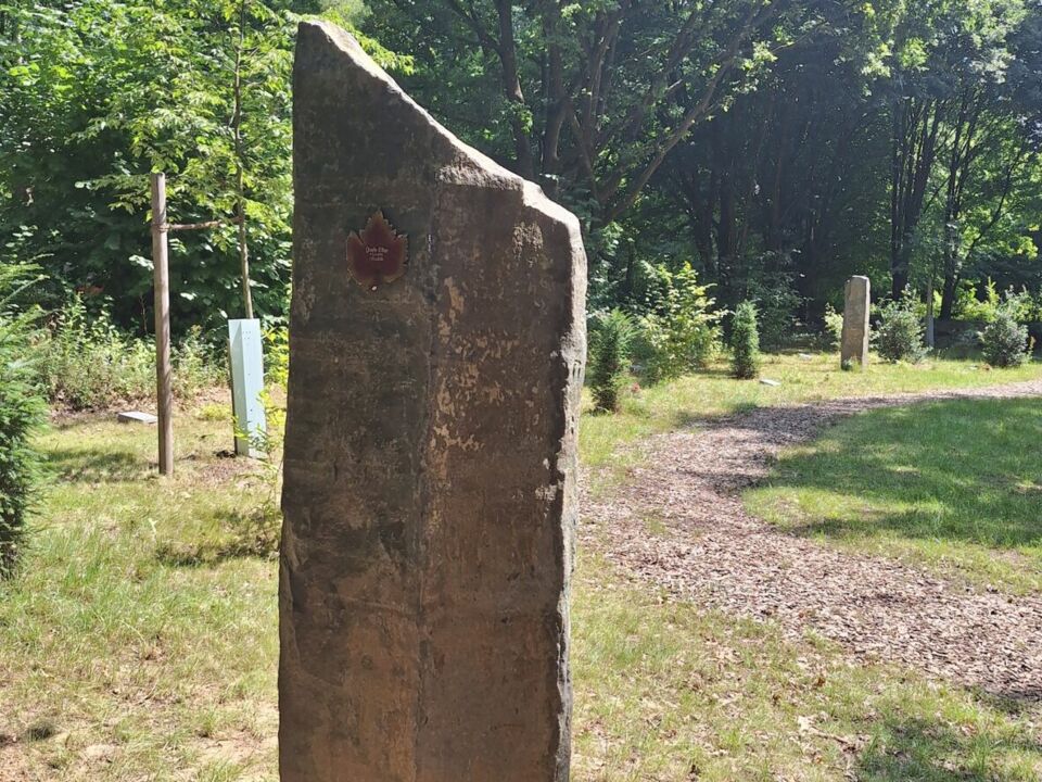 Reihengrab naturnah Urne - Friedhof Bochum-Querenburg
